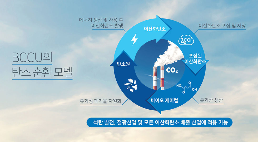 bccu탄소순환모델